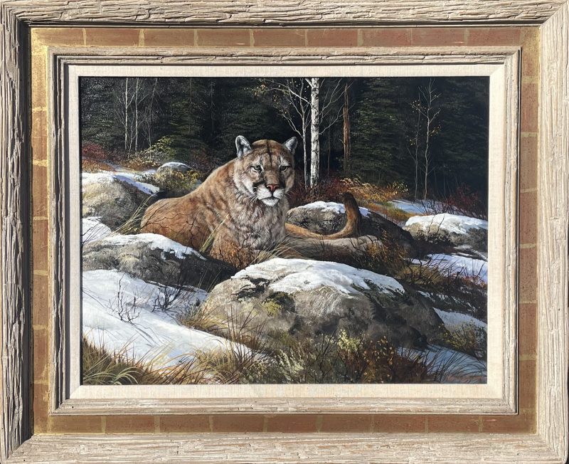 Trevor Swanson Afternoon Rest cougar mountain lion puma cat wildlife oil painting framed