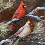 Trevor Swanson Cardinals wildlife oil painting copper bird sold