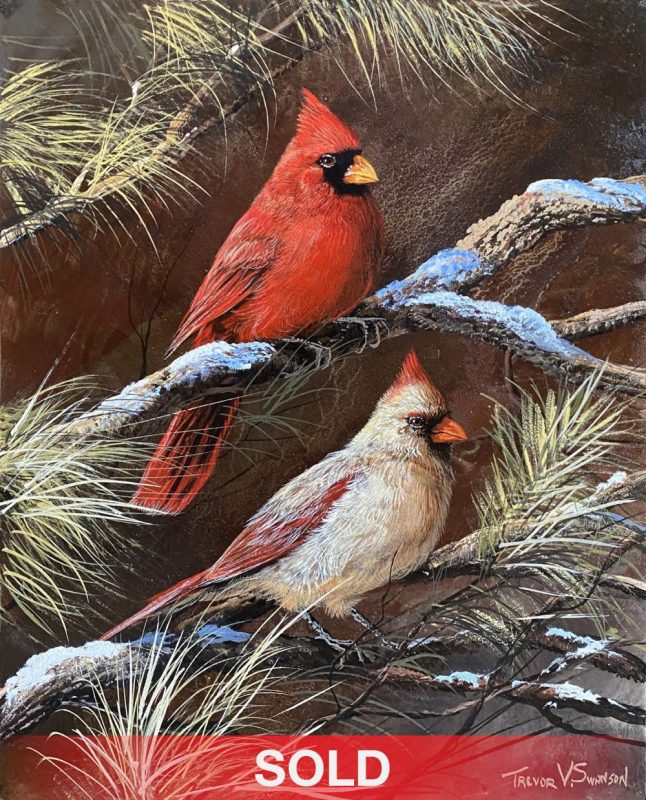 Trevor Swanson Cardinals wildlife oil painting copper bird sold
