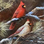 Trevor Swanson Cardinals wildlife oil painting copper bird