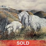 Trevor Swanson Cassiar Companions mountain goat wildlife oil painting sold