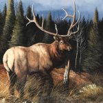 Trevor Swanson Mountain Majesty elk deer moose wildlife oil painting sold