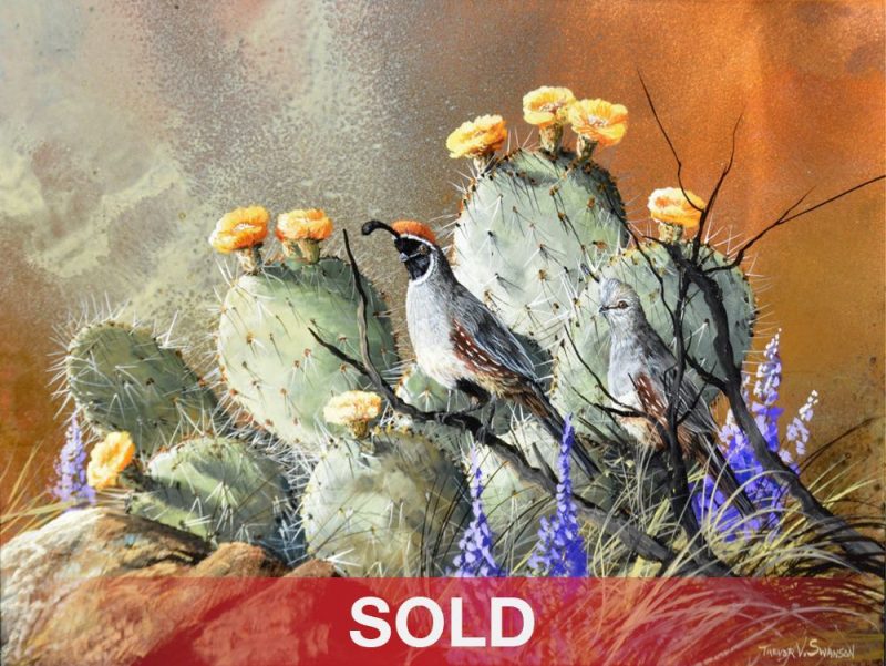 Trevor Swanson Pair Among Flowers quail cacti cactus desert southwestern landscape oil painting on copper