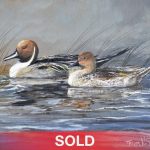 Trevor Swanson Quiet Morning Pair pintail ducks lake water stream wildlife oil painting sold