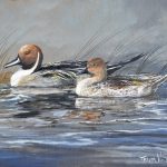 Trevor Swanson Quiet Morning Pair pintail ducks lake water stream wildlife oil painting