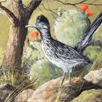 Trevor Swanson Sir Speedy roadrunner bird wildlife oil painting