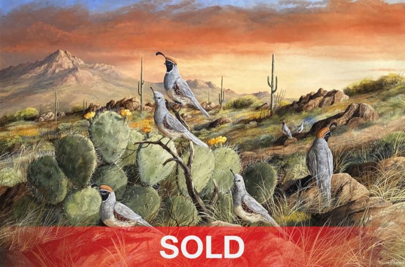 Trevor Swanson Sunset In Spring quail desert cactus cacti saguaro prickly pear mountain western wildlife oil painting sold