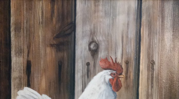 “The Rooster” Trevor Swanson Trevor Swanson The Rooster farm ranch chicken western oil painting