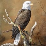 Trevor Swanson With A Commanding View eagle wildlife bald eagle America oil painting