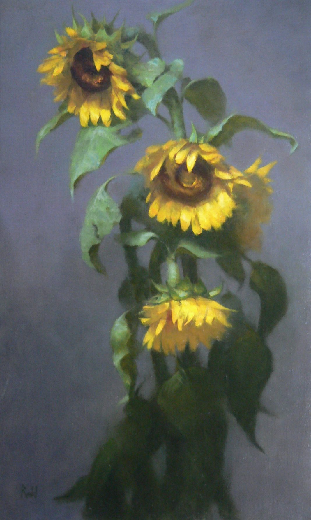 David Riedel Sunflowers floral flower plant seed still-life stilllife still life oil painting