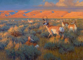 Ralph Oberg "Prairie Sundown" pronghorn sunset wildlife oil painting