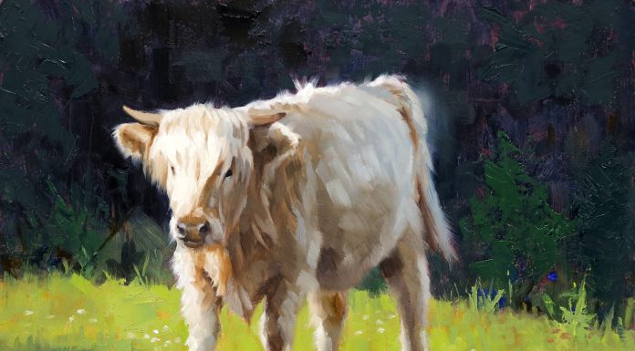 “Lyla” Jim Connelly Jim Connelly Lyla white cow corral ranch farm western oil painting