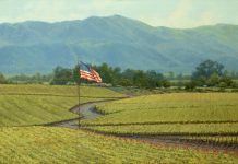 Darcie Peet Napa Strong grape winery California landscape oil painting American flag patriotic