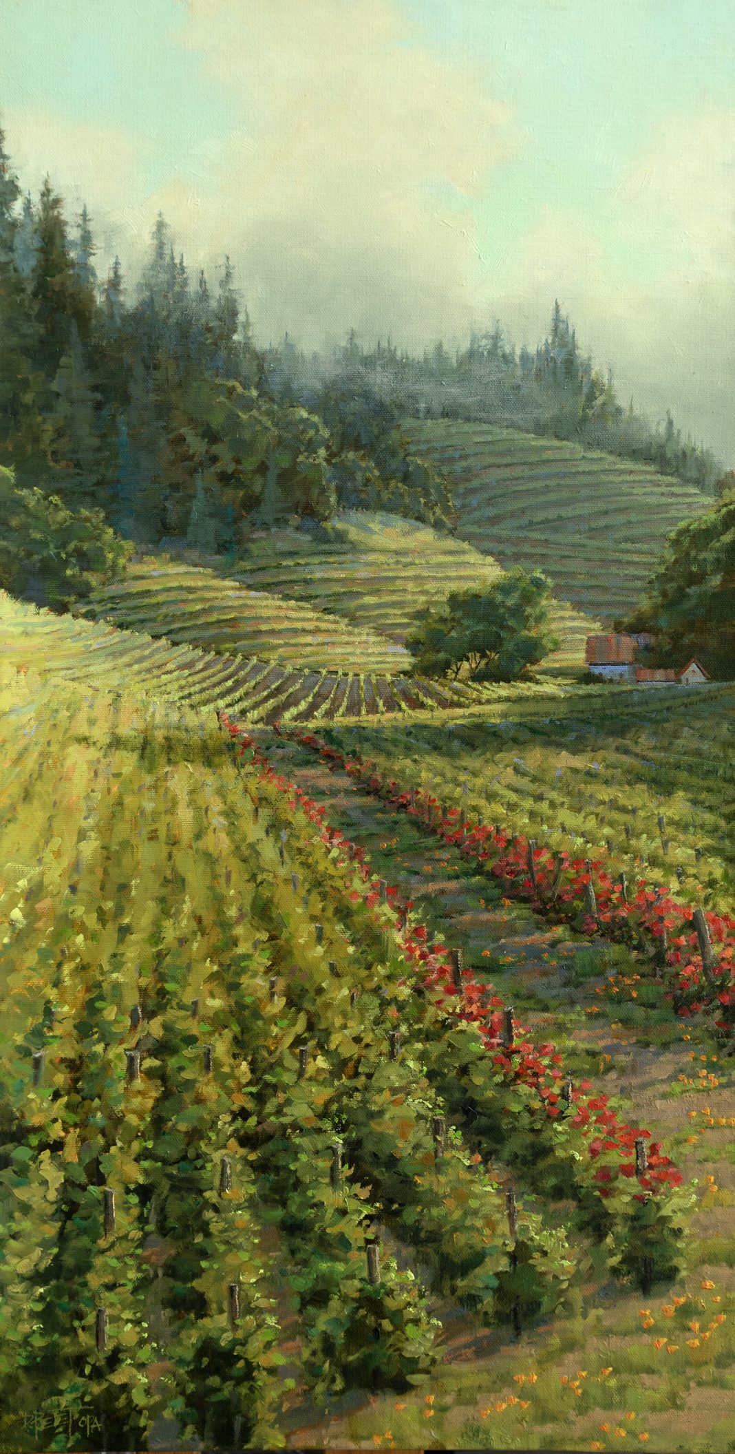 Darcie Peet Sea Fog Roses grape winery California landscape oil painting