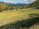 Darcie Peet Last Cutting Last Wildflowers farm ranch high mountains western oil landscape painting