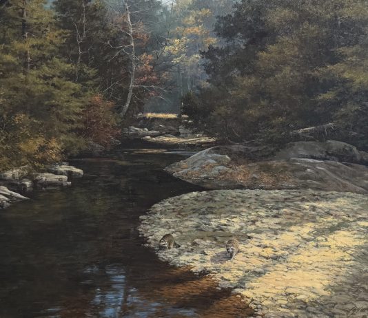 Lanford Monroe Morning Ramble wildlife oil painting raccoons stream brook river forest nature