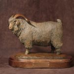 Mary Ross Buchholz Angora Champ sheep goat western bronze sculpture