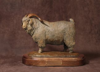 Mary Ross Buchholz Angora Champ sheep goat western bronze sculpture