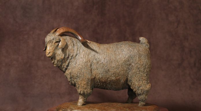 Mary Ross Buchholz Angora Champ sheep goat western bronze sculpture