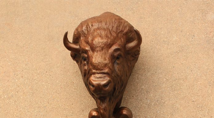 Mary Ross Buchholz Buffalo Hat Hook bison western bronze sculpture