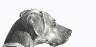 Mary Ross Buchholz Checking The Wind dog pencil drawing western painting