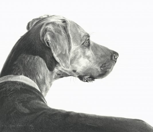 Mary Ross Buchholz Checking The Wind dog pencil drawing western painting