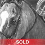 Mary Ross Buchholz Good Boy charcoal graphite drawing horse portrait western painting sold