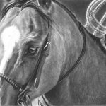 Mary Ross Buchholz Good Boy charcoal graphite drawing horse portrait western painting