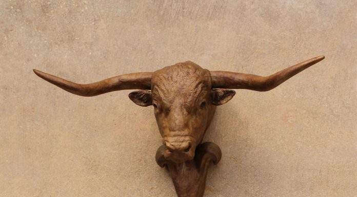 Mary Ross Buchholz Longhorn Hat Hook cattle cow western bronze sculpture