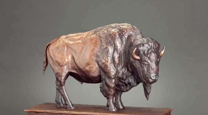 Mary Ross Buchholz Patriarch Of The Plains buffalo bison wildlife western bronze sculpture