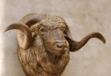Mary ross Buchholz Sheep Buck Hat Hook wildlife bronze hot holder western sculpture