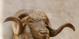 Mary ross Buchholz Sheep Buck Hat Hook wildlife bronze hot holder western sculpture