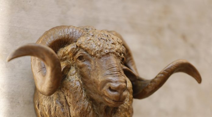 Mary ross Buchholz Sheep Buck Hat Hook wildlife bronze hot holder western sculpture