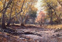 Francois Koch November Morning western landscape trees stream river brook