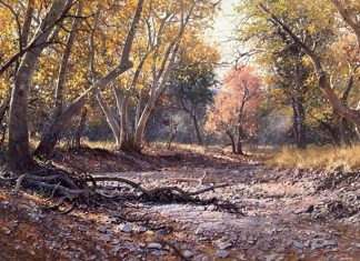 Francois Koch November Morning western landscape trees stream river brook
