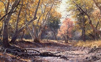 Francois Koch November Morning western landscape trees stream river brook