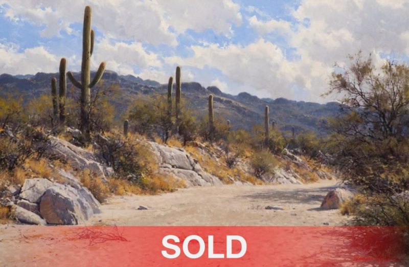 Francois Koch Clouds Over The Rincons desert Arizona saguaro cactus river bed western landscape oil painting