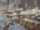 “Frigidaire” Gene Costanza Gene Costanza Frigidaire snow creek river brook Idaho Tetons Fox Creek landscape oil painting
