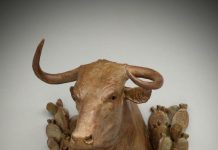 Jason Scull Brush Country Madonna longhorn cattle cow western bronze sculpture