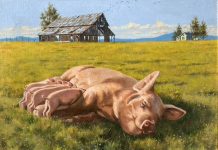 Bill Edwards Pigging Out mother pig nursing piglets farm ranch western oil painting