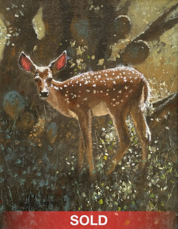 George Hallmark Bambi deer whitetail cactus wildlife oil painting sold