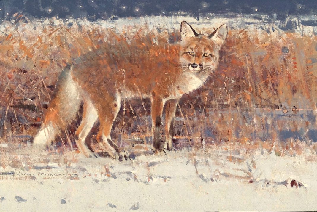 Jim Morgan Moonlight Mouser fox wildlife oil painting