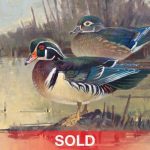 Jim Morgan Showtime ducks landscape wildlife oil painting