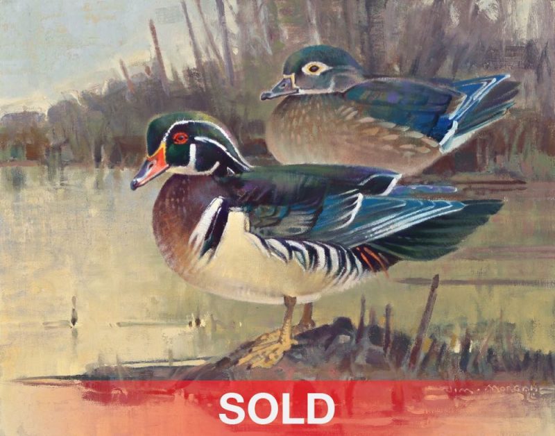 Jim Morgan Showtime ducks landscape wildlife oil painting