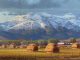 Michael Albrechtsen Timing snow landscape hay bales western oil painting