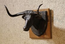 Harry Jackson Longhorn cow steer western bronze sculpture