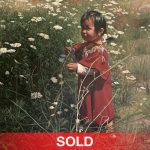 Ray Swanson Daisies Along The Clearwater Native American girl baby flowers field landscape western oil painting sold