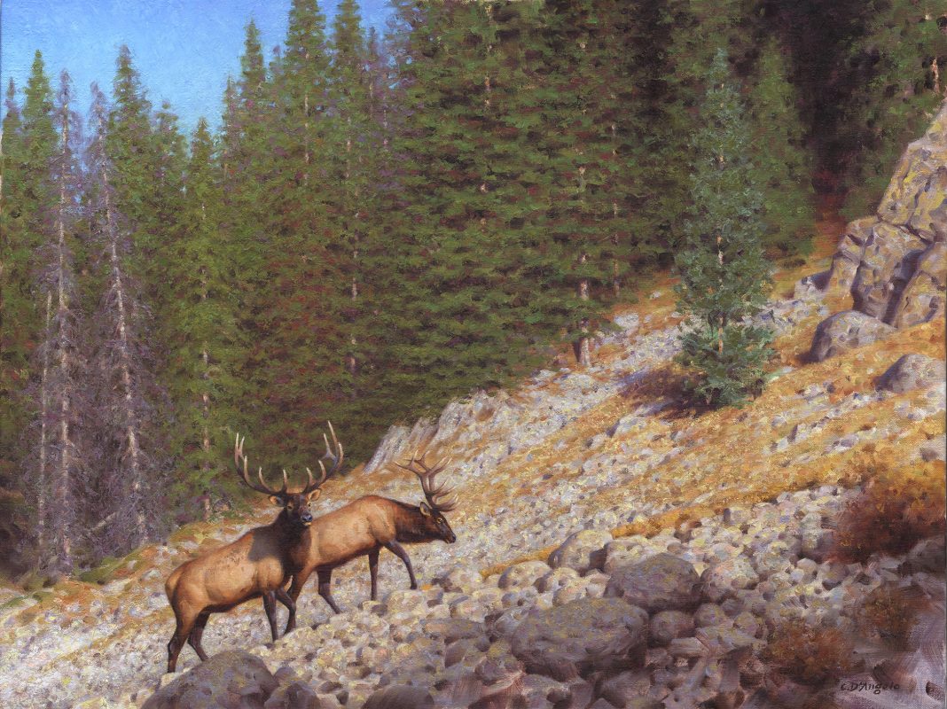 Claudio D'Angelo High Country Traverse elk mountain wildlife oil painting