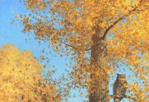 Claudio D'Angelo Great Horned Owl In An Aspen tree wildlife oil painting autumn fall leaves
