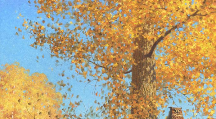 Claudio D'Angelo Great Horned Owl In An Aspen tree wildlife oil painting autumn fall leaves